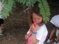 Geel_JK_029
