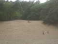 Geel_JK_042
