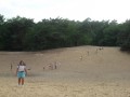 Geel_JK_052