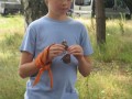 IMG_0120