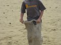 IMG_0362