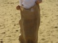 IMG_0364