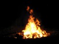 IMG_0426