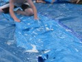 IMG_1213