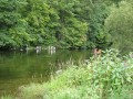 IMG_1366
