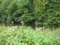 IMG_1370