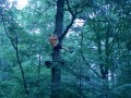 P7150493