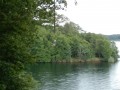 P7150926