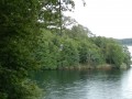 P7150927