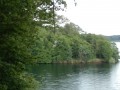 P7150928