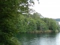 P7150933