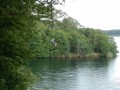 P7150980