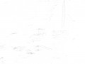 P7151423