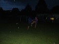 DSC03992