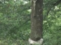 DSC04187