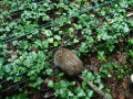 DSC04190