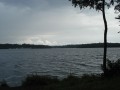 DSC04201