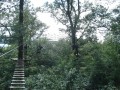 DSC04243