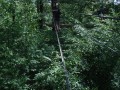 DSC04262