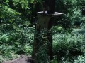 DSC04266