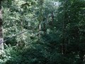 DSC04267