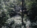 DSC04269