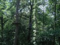 DSC04273