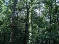 DSC04274