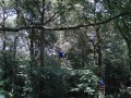 DSC04275