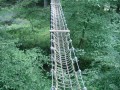 DSC04282