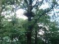 DSC04283