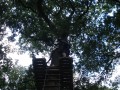 DSC04286