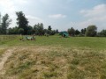 DSCN3217
