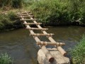 DSCN3244
