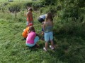DSCN3641