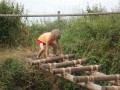 DSCN3876