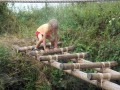 DSCN3877