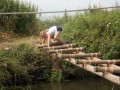 DSCN3897