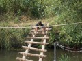 DSCN3901