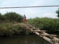 DSCN3917