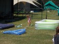 DSCN4013