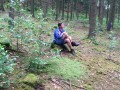 Amel_vm_276
