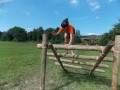 Amel_vm_428