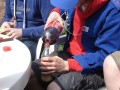 DSC03263