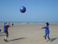 DSC03310
