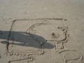DSC03319