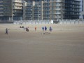 DSC03334