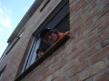 DSC03383