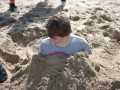 DSC03550