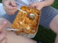 DSC03527